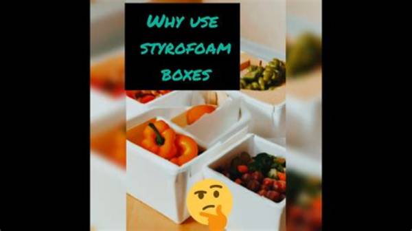 Why Styrofoam Boxes Are Used?
