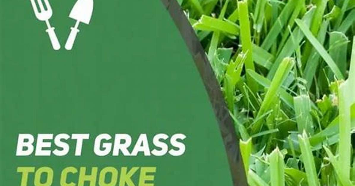 Will Grass Choke out Weeds?