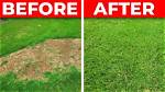 Will Grass Grow over Bald Spots?