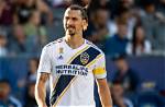 Zlatan Ibrahimovic – Bio, Wife, Height, Weight, Age, Net Worth